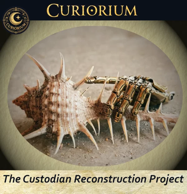 Custodian Reconstruction Project