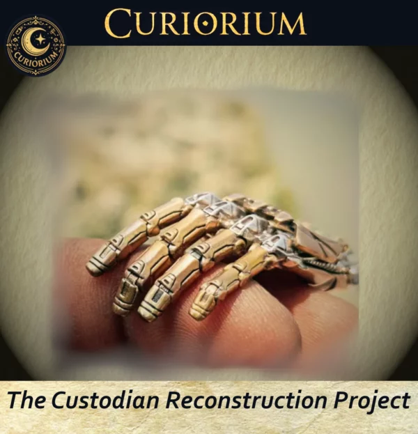 Custodian Reconstruction Project