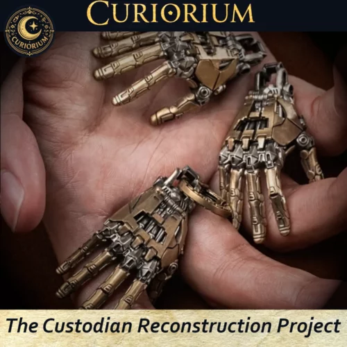 Custodian Reconstruction Project