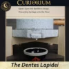 The Dentes Lapidei personal mill-Close-up 2 The Dentes Lapidei- personal mill