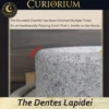 The Dentes Lapidei personal mill-Close-up 5 The Dentes Lapidei- personal mill
