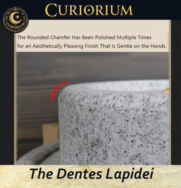 The Dentes Lapidei personal mill-Close-up 5 The Dentes Lapidei- personal mill