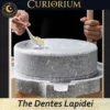 The Dentes Lapidei personal mill-Close-up 6 The Dentes Lapidei- personal mill