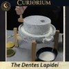 The Dentes Lapidei personal mill-Close-up 7 The Dentes Lapidei- personal mill