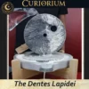 The Dentes Lapidei personal mill-Close-up 8 The Dentes Lapidei- personal mill