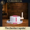 The Dentes Lapidei personal mill- Dimensions The Dentes Lapidei- personal mill