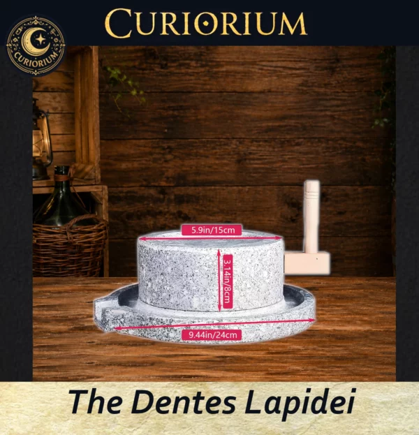 The Dentes Lapidei personal mill- Dimensions The Dentes Lapidei- personal mill