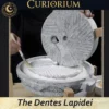 The Dentes Lapidei personal mill- Flour made from anything The Dentes Lapidei- personal mill