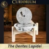 The Dentes Lapidei personal mill- View of the inside The Dentes Lapidei- personal mill