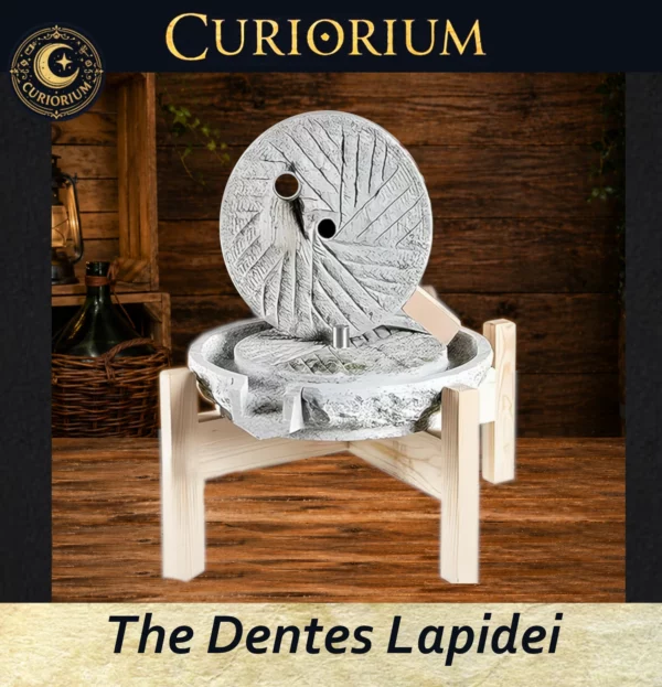 The Dentes Lapidei personal mill- View of the inside The Dentes Lapidei- personal mill