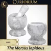 The Morsus lapideus - Calix The Morsus lapideus -Stone Mortar Collection