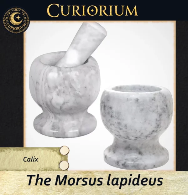 The Morsus lapideus - Calix The Morsus lapideus -Stone Mortar Collection