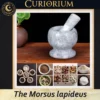 The Morsus lapideus - Collection Calixa The Morsus lapideus -Stone Mortar Collection