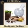 The Morsus lapideus - Collection Calixa B The Morsus lapideus -Stone Mortar Collection