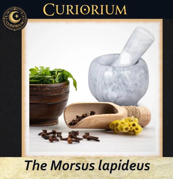 The Morsus lapideus - Collection Calixa B The Morsus lapideus -Stone Mortar Collection