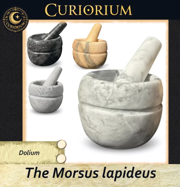 The Morsus lapideus - Dolium The Morsus lapideus -Stone Mortar Collection