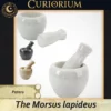The Morsus lapideus - Patera The Morsus lapideus -Stone Mortar Collection