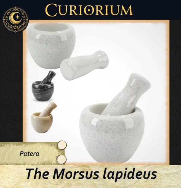 The Morsus lapideus - Patera The Morsus lapideus -Stone Mortar Collection