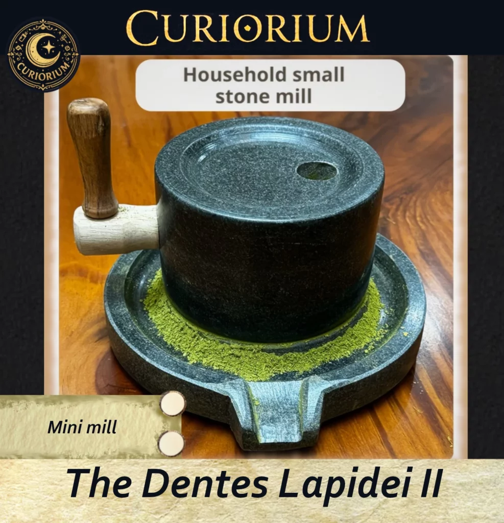The Dentes Lapidei II- Traditional Stone Preparation Mill
