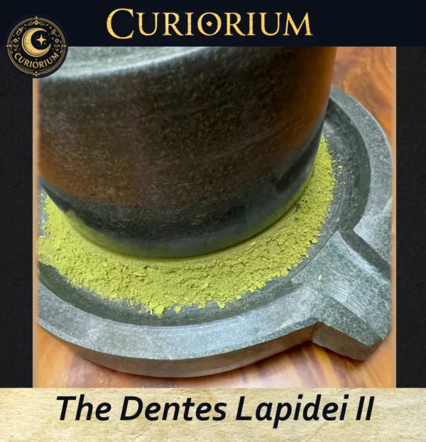 The Dentes Lapidei II- Traditional Stone Preparation Mill