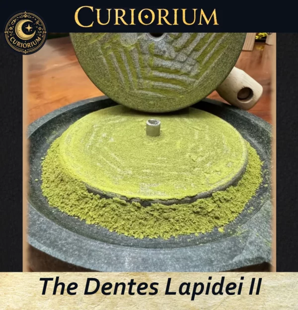 The Dentes Lapidei II- Traditional Stone Preparation Mill