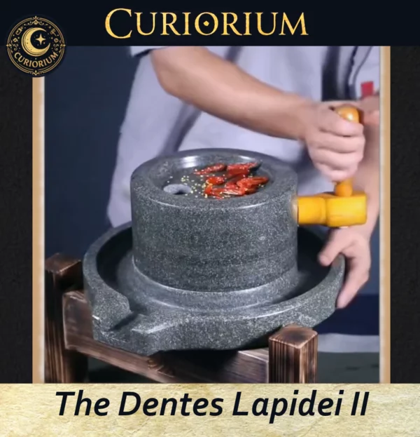 The Dentes Lapidei II- Traditional Stone Preparation Mill