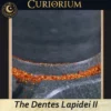 The Dentes Lapidei II- Traditional Stone Preparation Mill
