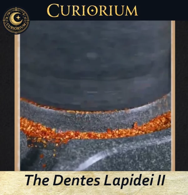 The Dentes Lapidei II- Traditional Stone Preparation Mill