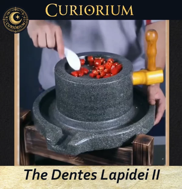 The Dentes Lapidei II- Traditional Stone Preparation Mill