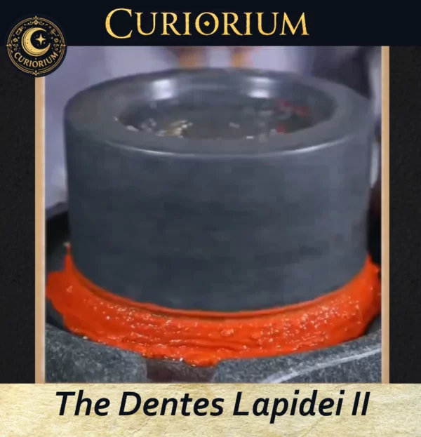 The Dentes Lapidei II- Traditional Stone Preparation Mill