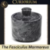 The Fasciculus Marmoreus-A Home for Carefully Chosen Contents