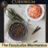 The Fasciculus Marmoreus-A Home for Carefully Chosen Contents