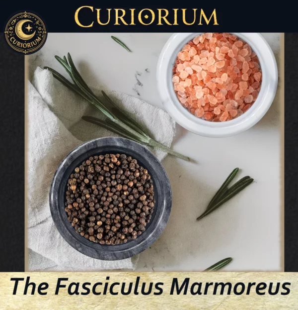 The Fasciculus Marmoreus-A Home for Carefully Chosen Contents