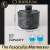 The Fasciculus Marmoreus-A Home for Carefully Chosen Contents