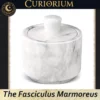 The Fasciculus Marmoreus-A Home for Carefully Chosen Contents