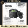 The Fasciculus Marmoreus-A Home for Carefully Chosen Contents