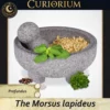 The Morsus lapideus Profundus The Morsus lapideus -Stone Mortar Collection