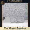 The Morsus lapideus Profundus Close-up B The Morsus lapideus -Stone Mortar Collection