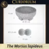 The Morsus lapideus Profundus Dimensions The Morsus lapideus -Stone Mortar Collection