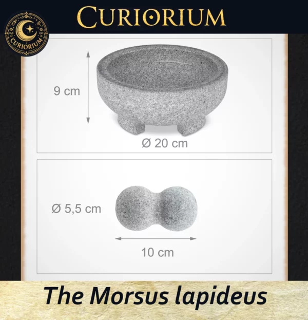 The Morsus lapideus Profundus Dimensions The Morsus lapideus -Stone Mortar Collection