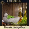 The Morsus lapideus Profundus Presentation A The Morsus lapideus -Stone Mortar Collection