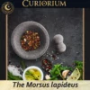 The Morsus lapideus Profundus Presentation B The Morsus lapideus -Stone Mortar Collection